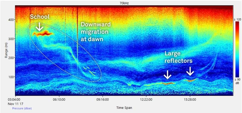 Echogram of diel plankton migration. (Image: Nortek)