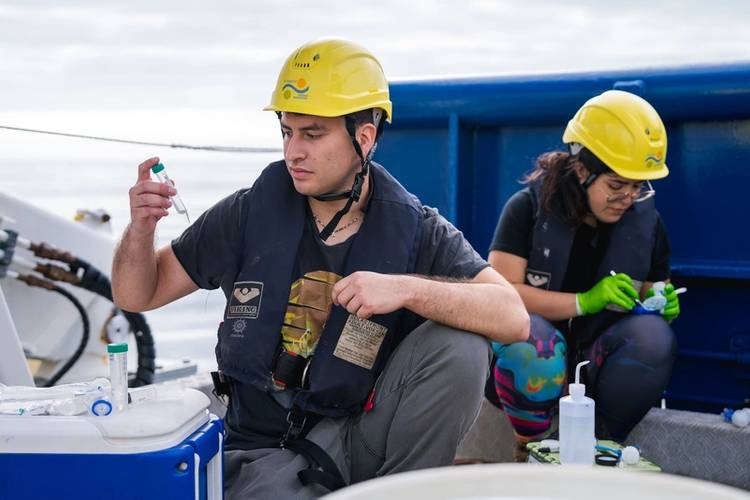 Emilio Espinoza (Student, Pontificia Universidad Católica de Chile) and Sibille Améstica (Research Assistant, Pontificia Universidad Católica de Chile) work on water samples delivered to them from the Pump Profiling System, or PPS. This system collects water samples from the OMZ with minimal oxygen contamination.
Credit: Alex Ingle / Schmidt Ocean Institute