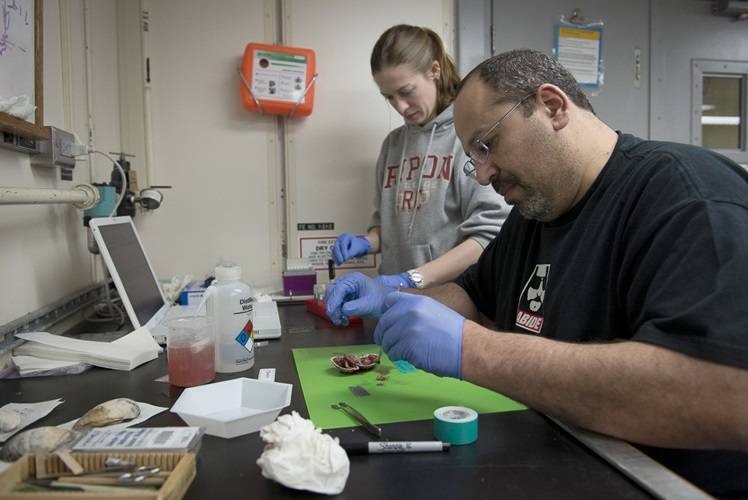 Expedition chief scientist Peter Girguis and Jennifer Delaney of Harvard University extract the viscera of a deep-sea clam collected by Alvin. A preserved sample will be sent to the Ocean Genome Legacy, which aims to archive the DNA of every marine species and make the data available to scientists. (Photo by Chris Linder, Woods Hole Oceanographic Institution)