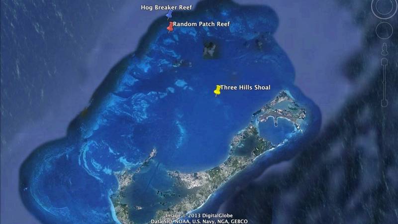 For the tank experiments, colonies of the coral P. astreoides were obtained from three Bermudian reefs (shown above). (Image: GigitalGlobe)