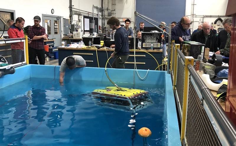 Falcon during training at WHOI’s test tank facility in Woods Hole, Mass. 
(Photo by Derek Buffitt, Woods Hole Oceanographic Institution)
