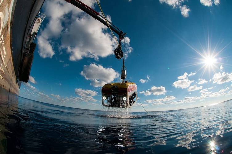 Falcon on environmental monitoring mission