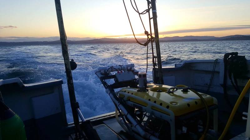 The Falcon, nicknamed 'Yelloweye' on board (Photo: Saab Seaeye)