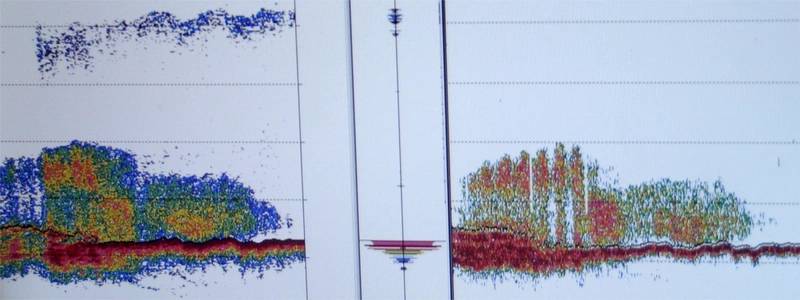 Fathometer image taken on board NOAA’s Channel Islands National Marine Sanctuary research vessel Shearwater in 2014 shows depth soundings over the shipwreck USCG Cutter McCulloch. (Credit: Robert V. Schwemmer NOAA)
