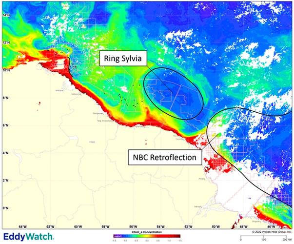 Figure 1: Satellite ocean color image of Ring Sylvia and the NBC Retroflection on 18 January 2022. Image courtesy Woods Hole Group
