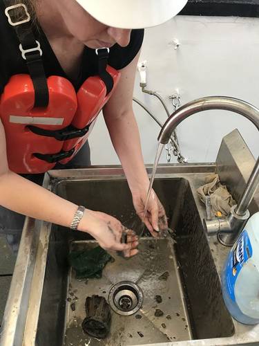 Figure 3: Sediment from the core catcher contained wood fragments, which were rinsed and catalogued. Image courtesy of A. Herrera-Schneider.
