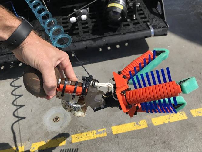 This fully 3D-printed version of the grippers includes “fingernails” on the ends of the fingers to help pick up organisms that are sitting on hard surfaces, as well as mesh extensions between the fingers to keep samples secure. (Credit: Wyss Institute at Harvard University)