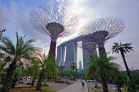 Gardens by the Bay, Singapore (Photo: EDT)