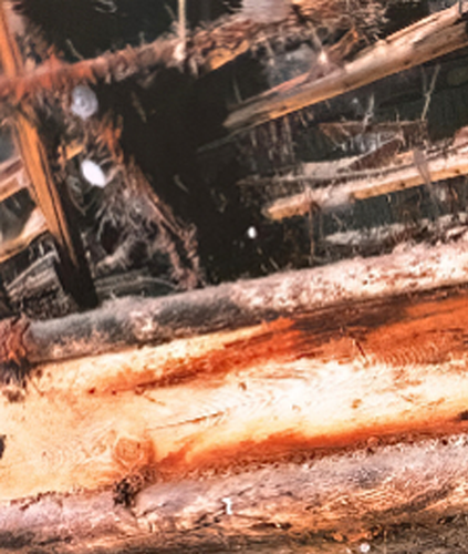 Image Courtesy: Falklands Maritime Heritage Trust and Voyis Imaging 