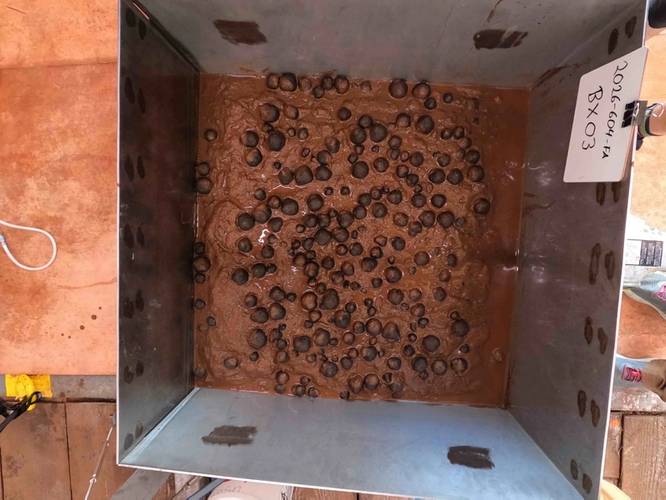 Image of geological samples from the seafloor that were collected via box core on April 14, 2026, in U.S. waters off American Samoa. Credit: USGS