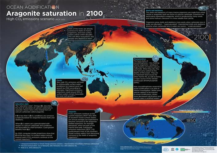 Image: Intergovernmental Oceanographic Commission