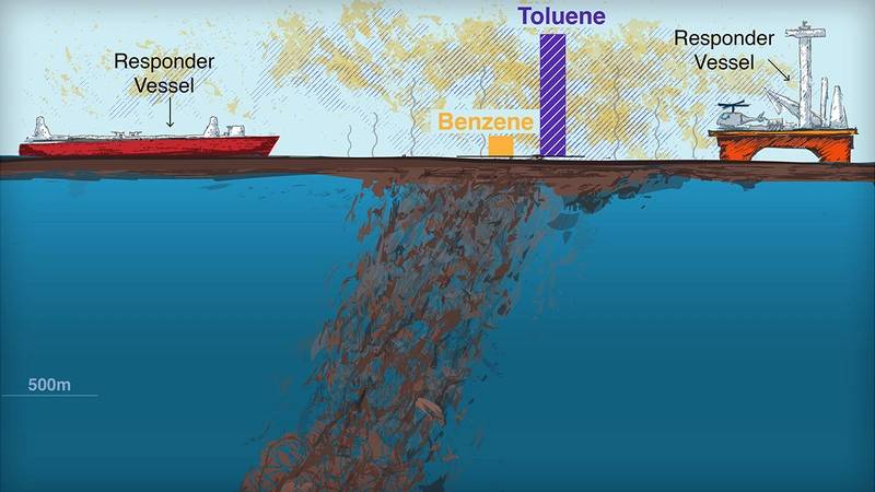 (Image: Natalie Renier / Woods Hole Oceanographic Institution)