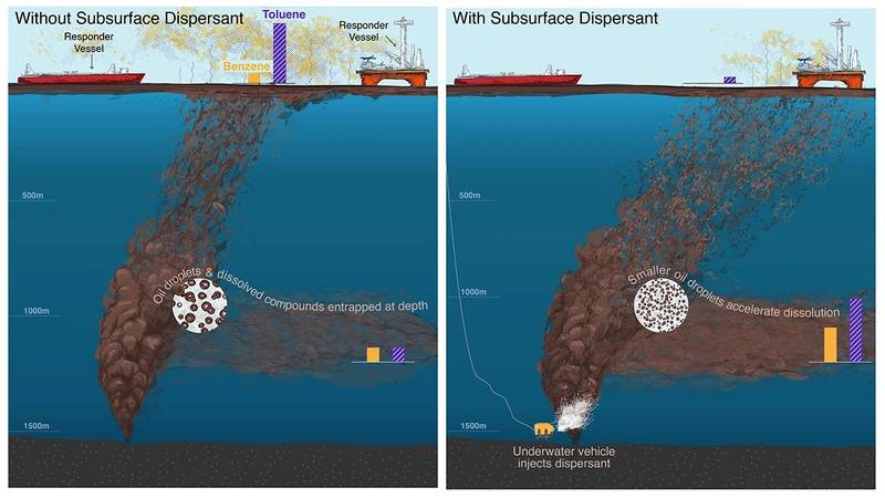 (Image: Natalie Renier / Woods Hole Oceanographic Institution)