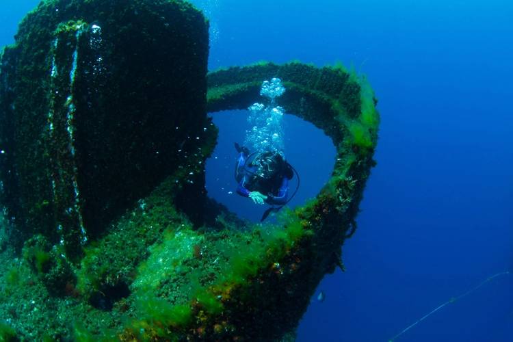 Images courtesy Subcon Blue Solutions/Wonder Reef