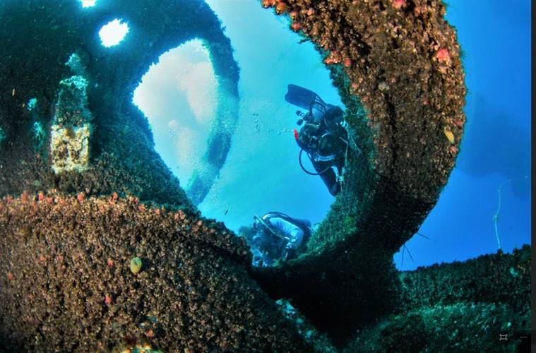 Images courtesy Subcon Blue Solutions/Wonder Reef
