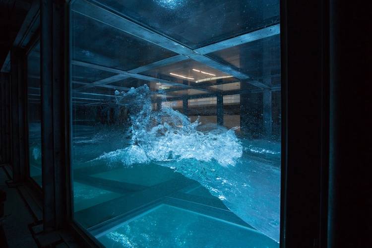 
Inside research tank of University of Miami SUSTAIN laboratory (Photo: University of Miami) 