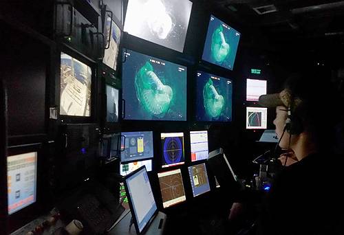 Kakani Katija watches a giant larvacean on video monitors in the ROV control room on board the research vessel Western Flyer. Image: Kim Reisenbichler © 2015 MBARI