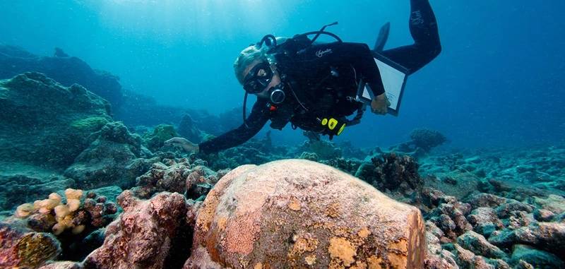 Dr. Kelly Gleason investigates a ginger jar at the Two Brothers shipwreck site (Credit: NOAA)