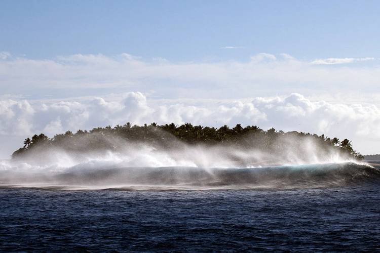 ©Khaled bin Sultan Living Oceans Foundation/Ken Marks