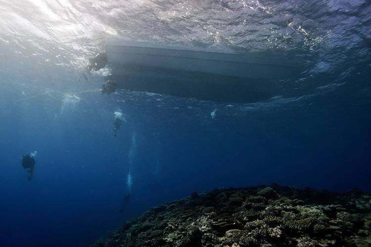 ©Khaled bin Sultan Living Oceans Foundation/Ken Marks