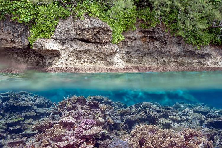 ©Khaled bin Sultan Living Oceans Foundation/Ken Marks