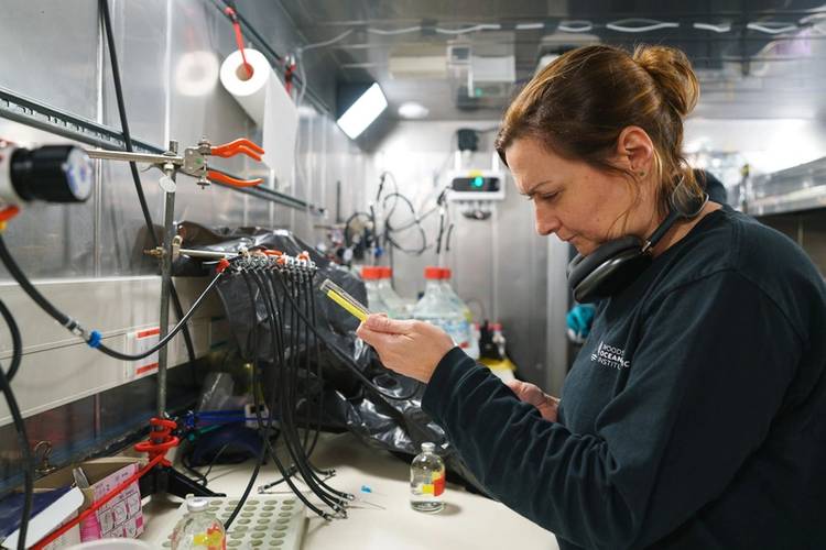 Laura Bristow (Principal Investigator, University of Gothenburg, Sweden) works with water samples in the Cold Lab on R/V Falkor (too).
Credit: Alex Ingle / Schmidt Ocean Institute