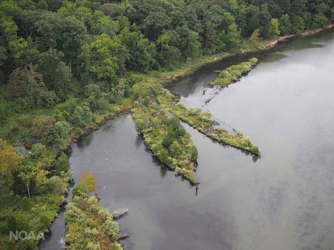 Mallows Bay in the Potomac River contains more than 100 known and still-to-be-discovered shipwrecks. (Photo: Marine Robotics & Remote Sensing, Duke University)
