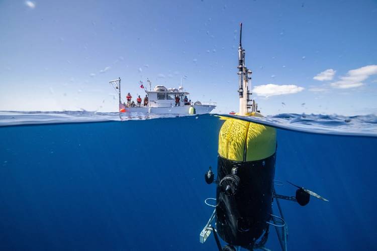 Mesobot, an underwater robot capable of tracking and recording high-resolution images of slow-moving and fragile zooplankton, gelatinous animals, and particles, is providing researchers with deeper insight into the vast mid-ocean region known as the twilight zone. © Evan Kovacs/©Woods Hole Oceanographic Institution