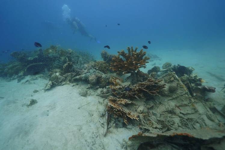 Newly discovered B-25 Bomber (Photo: Project Recover)