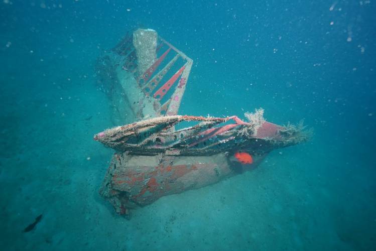 Newly discovered B-25 Bomber (Photo: Project Recover)