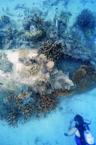 Newly discovered B-25 Bomber (Photo: Project Recover)