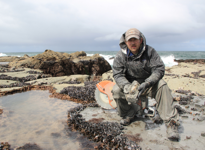 Nicholas Pyenson is the curator of fossil marine mammals at the Smithsonian’s National Museum of Natural History in Washington, D.C. whose research focuses on major land-to-sea ecological transitions in the past 250 million years. (Photo courtesy Nicholas Pyenson, Smithsonian Institution)