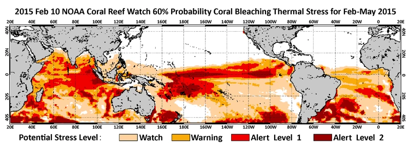 NOAA Coral Reef Watch’s newly-released four-month bleaching outlook indicates the greatest threat for coral bleaching through May 2015 is in the western Pacific and Indian Oceans in areas such American Samoa, Samoa, Western Australia, and Indonesia. (Credit: NOAA)