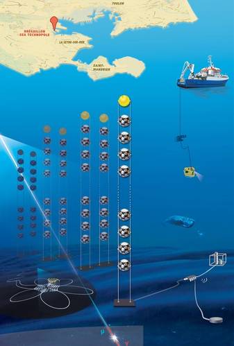 An overview of the MEUST project featuring detection units and seabed infrastructure. The entire detection array is installed at 2,500 meters of depth (courtesy of Nikhef)