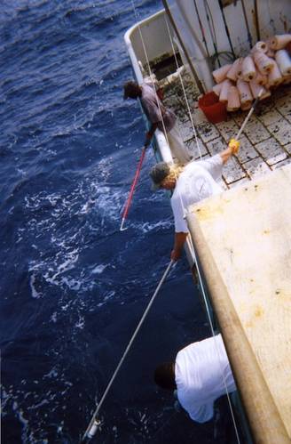 Pelagic longline vessel Captain Scott Drabinowicz and crew preparing to deploy a tag from the deck of the FV Eagle Eye II.