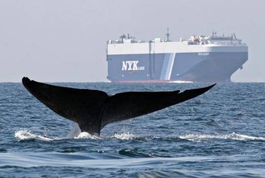 (Photo: NOAA)