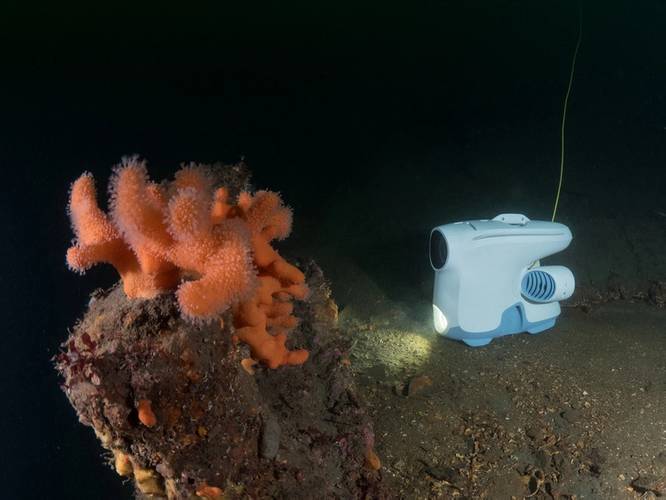 (Photo: Blueye Robotics)