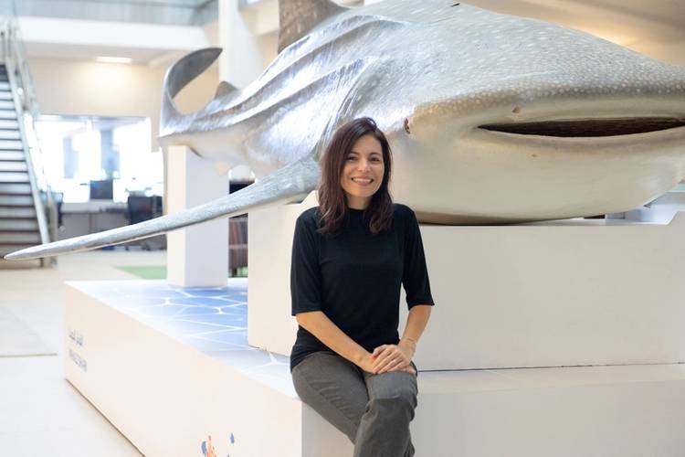 Photo courtesy KAUST
