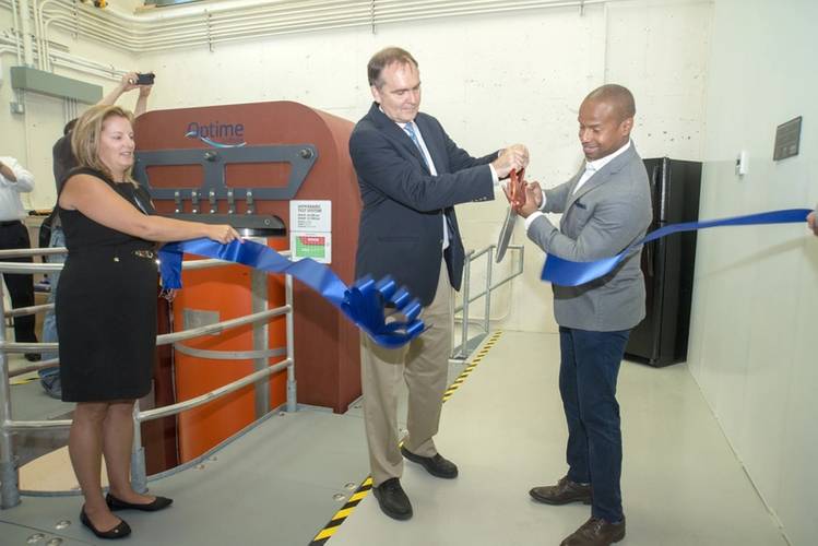 (Photo: Jayne Doucette, Woods Hole Oceanographic Institution)