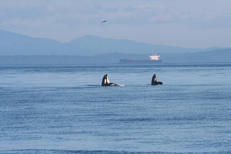 Photo: Port Metro Vancouver