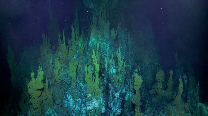 (Photo: Schmidt Ocean Institute)