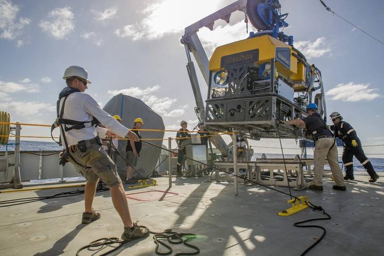 (Photo: Schmidt Ocean Institute)