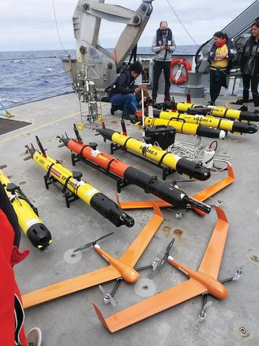 Photo: Schmidt Ocean Institute