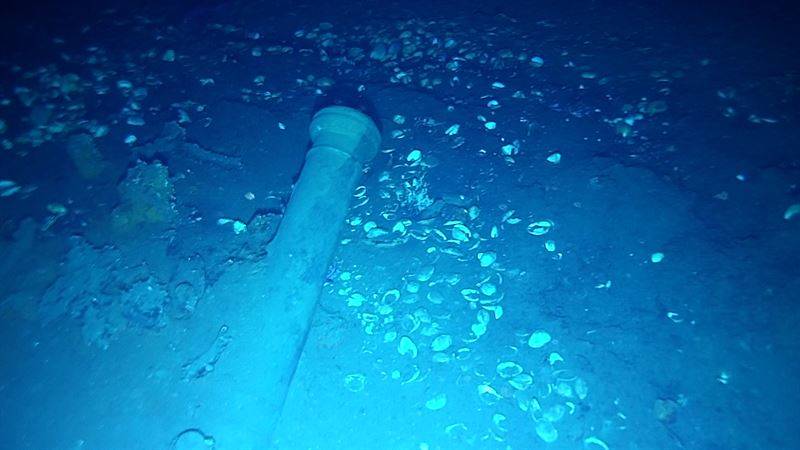 Photographer: Colombian Navy