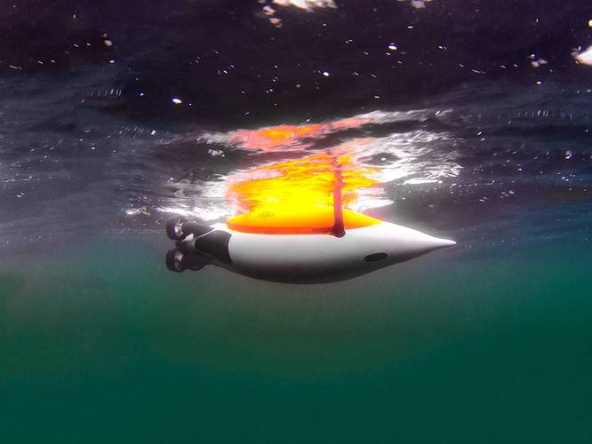 The PingGuin. Image courtesy EvoLogics