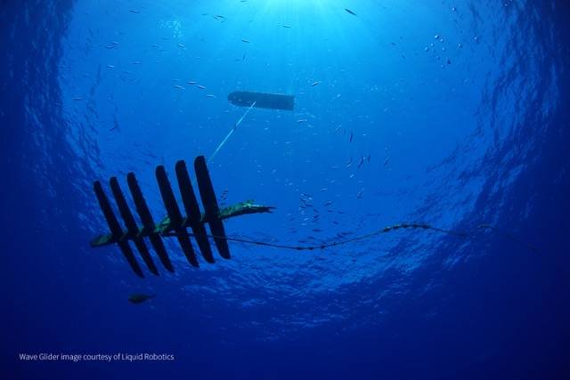 Pitcairn Wave Glider (Image: Liquid Robotics)