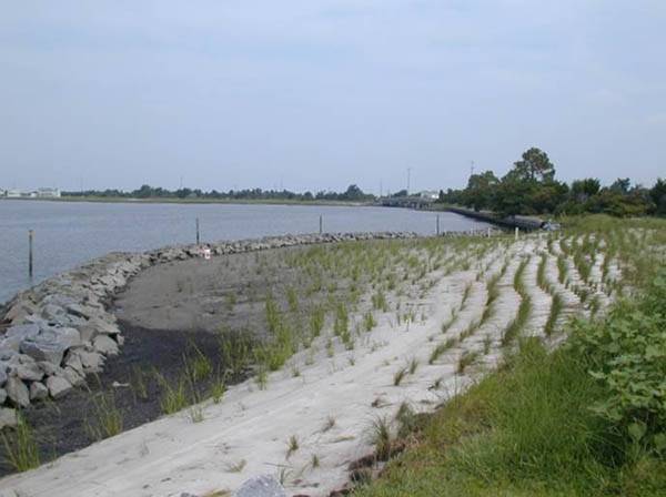 Pivers Island Living Shoreline adjacent to Duke University Marine Lab. This is an example of the hybrid, or marsh-sill approach, and includes an offshore sill constructed from granite, with salt marsh plants established landward of the sill. (Credit: NOAA)
