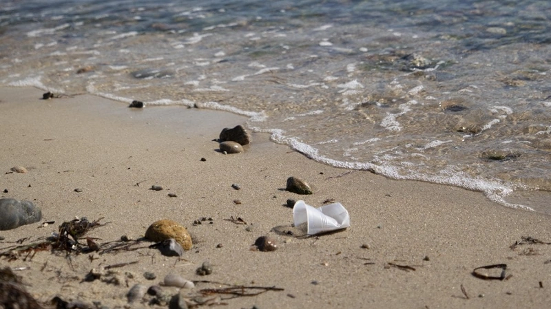 Polystyrene pollution at the tide’s edge. Photo by Jayne Doucette, Woods Hole Oceanographic Institution