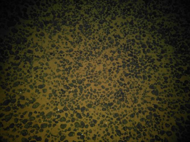 Presumed polymetallic nodules on the seafloor off American Samoa at a depth of 5,498 meters (3.42 miles) prior to the collection of a box core. Credit: NOAA