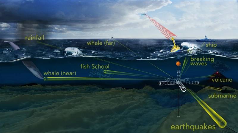 To probe the ocean’s opaque interior, sound is one of the most efficient tools available. WHOI scientists have developed an “acoustic telescope” to “see” into a noisy ocean and pick out unique sounds produced by distant acoustic phenomena, such as whale calls and fish schooling, as well as the rumble of earthquakes, volcanoes, and storms© Woods Hole Oceanographic Institution, N. Renier